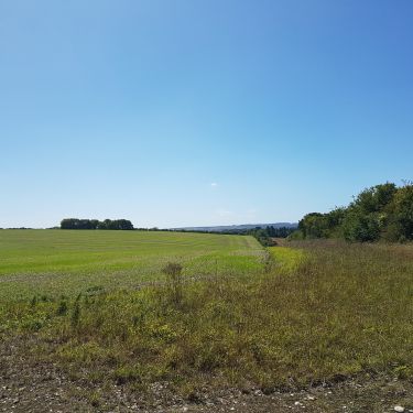 Field view